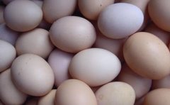 结石可以吃鸡蛋吗 结石病人能吃鸡