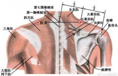 颈椎病按摩的正确手法 颈椎的按摩手法