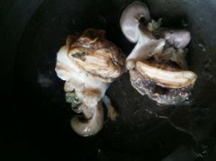 大海螺煮多久能熟透 大海螺煮多久多长
