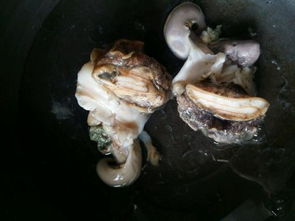 大海螺煮多久能熟透 大海螺煮多久多长时间最好吃